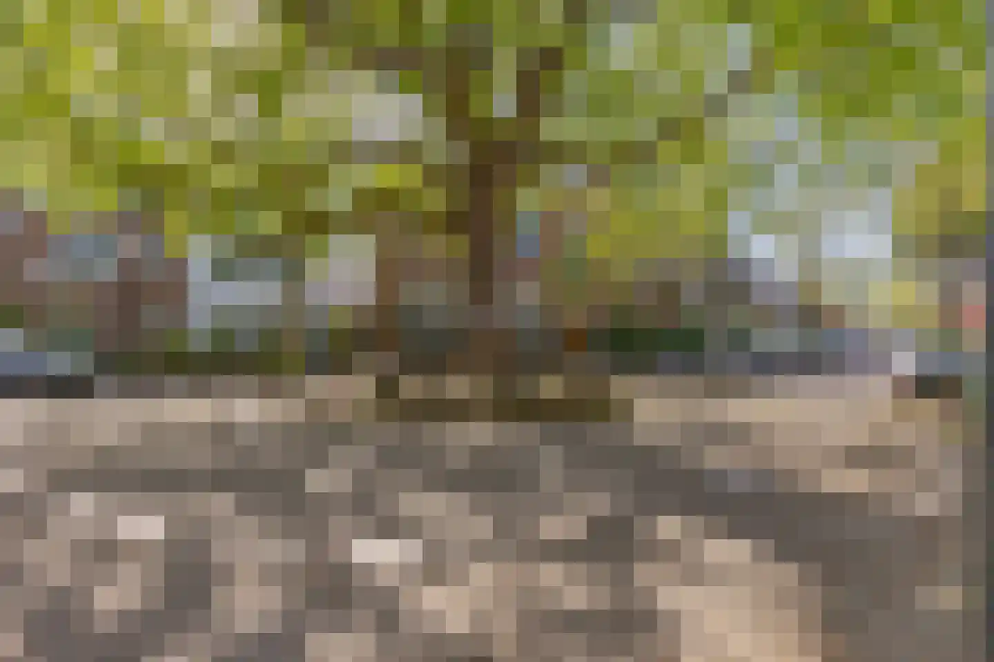 Oranjelaan 78 Rijswijk thumbnail 60
