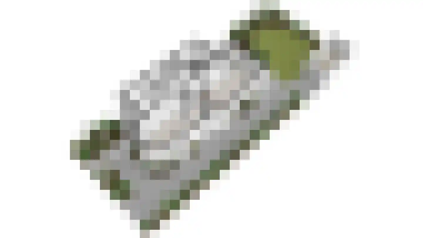 Oranjelaan 78 Rijswijk thumbnail 67