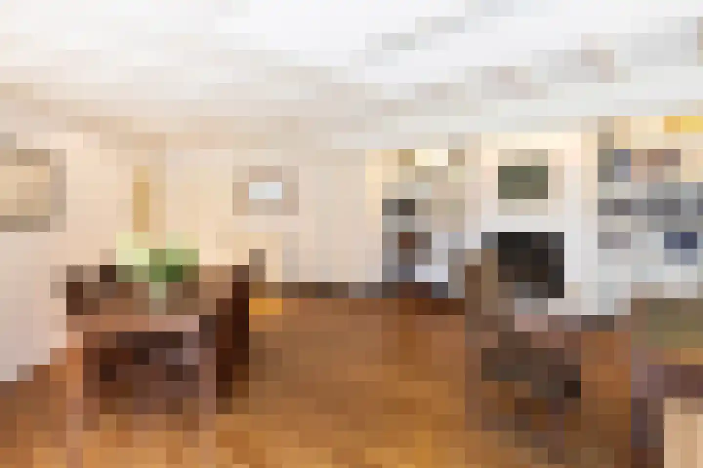 Oranjelaan 79 Harderwijk thumbnail 12