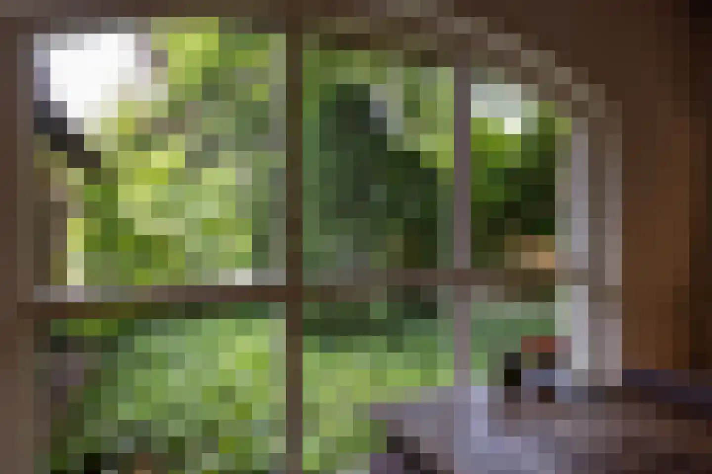 Oranjelaan 79 Harderwijk thumbnail 15