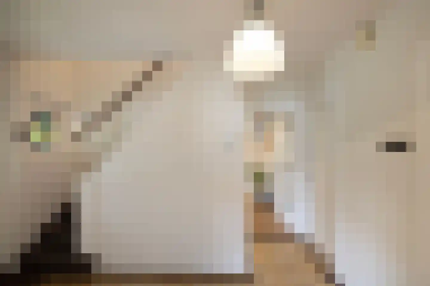 Oranjelaan 79 Harderwijk thumbnail 29