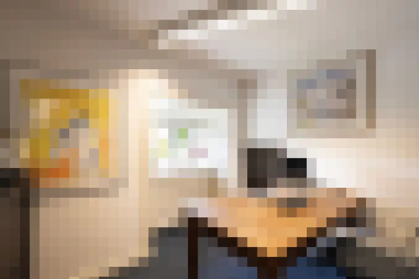 Oranjelaan 79 Harderwijk thumbnail 36