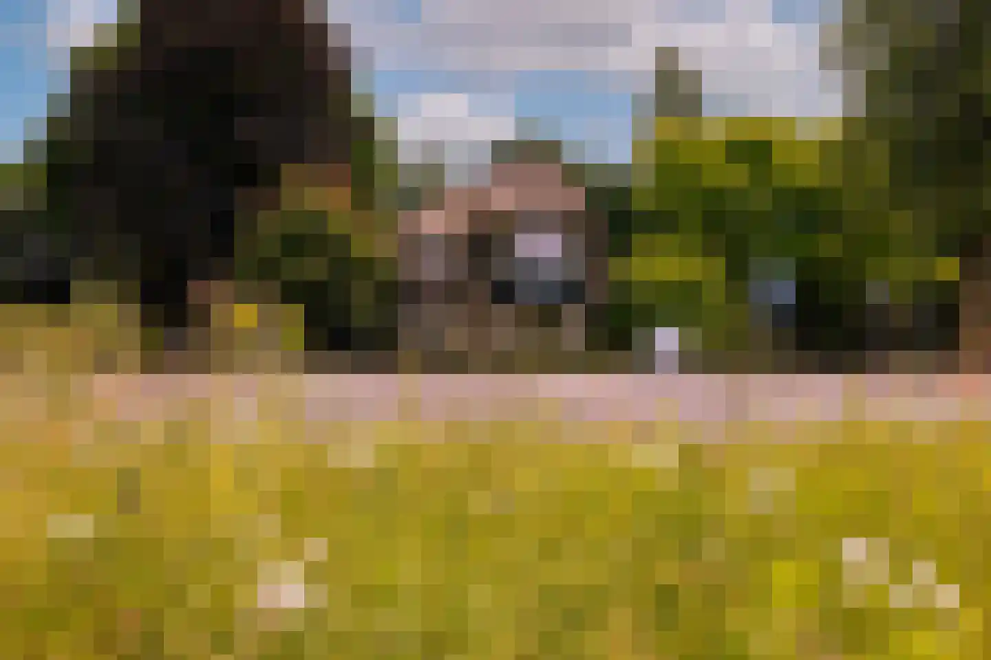 Oranjelaan 79 Harderwijk thumbnail 42