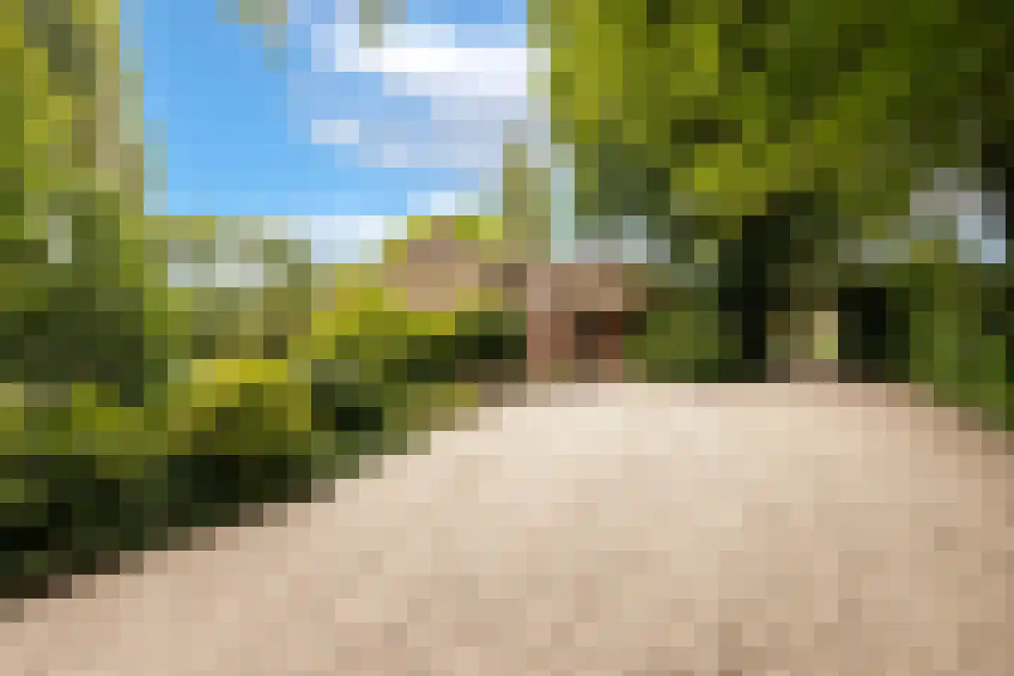 Oranjelaan 79 Harderwijk thumbnail 47