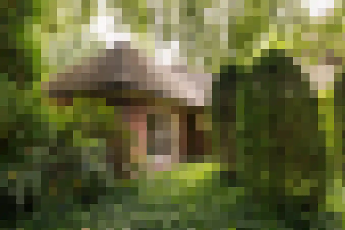 Oranjelaan 79 Harderwijk thumbnail 48