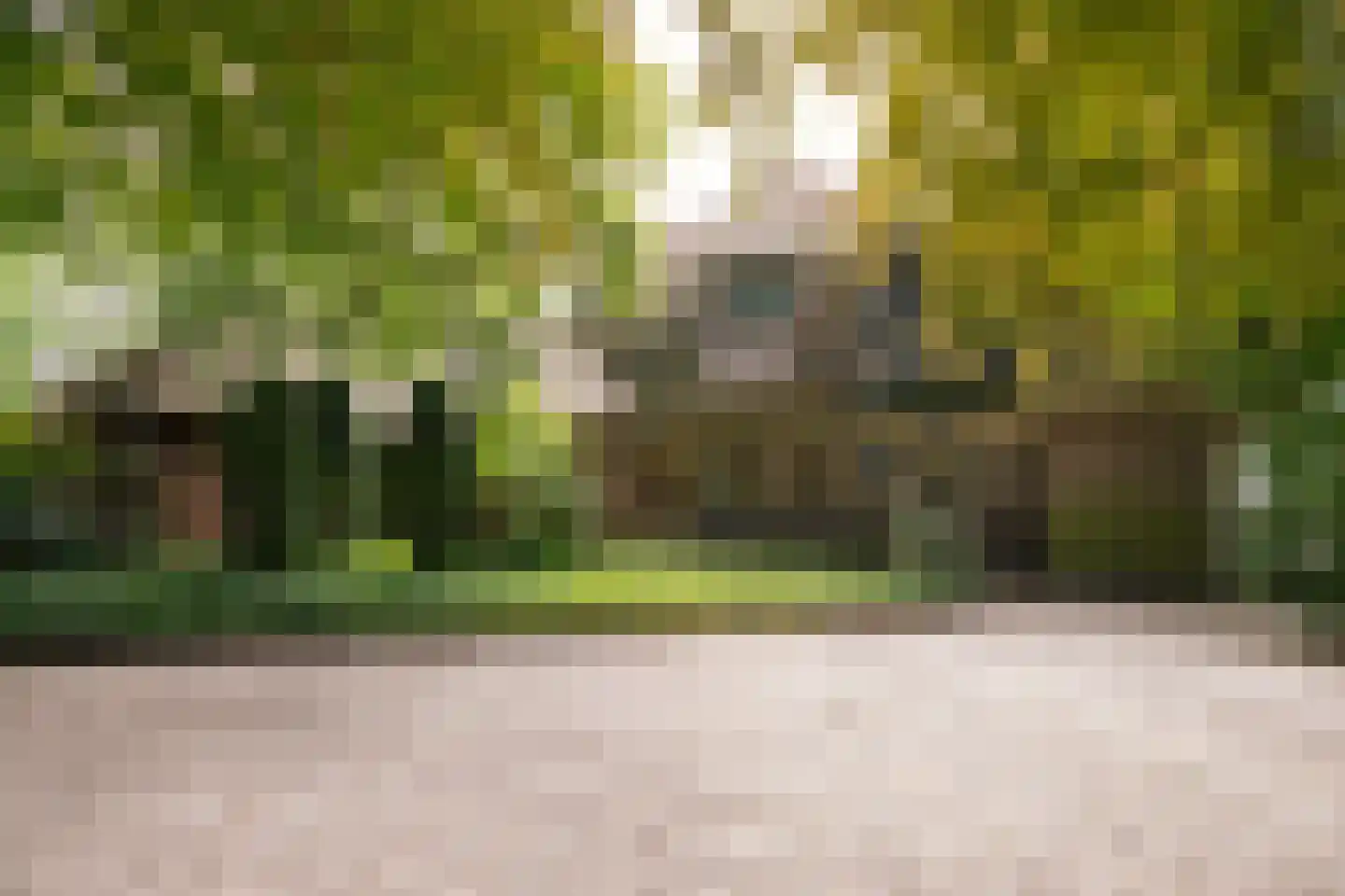 Oranjelaan 79 Harderwijk thumbnail 49