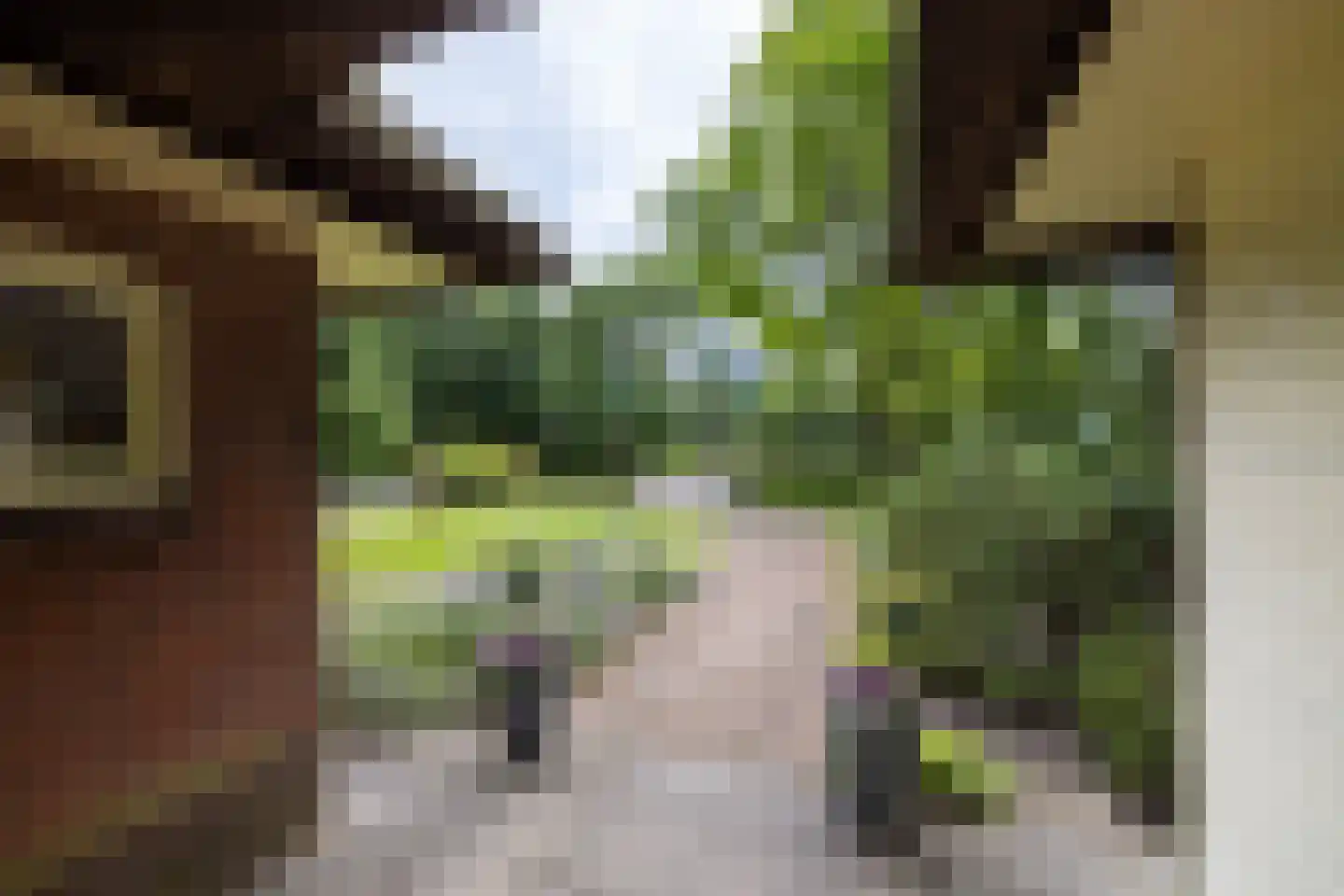 Oranjelaan 79 Harderwijk thumbnail 5
