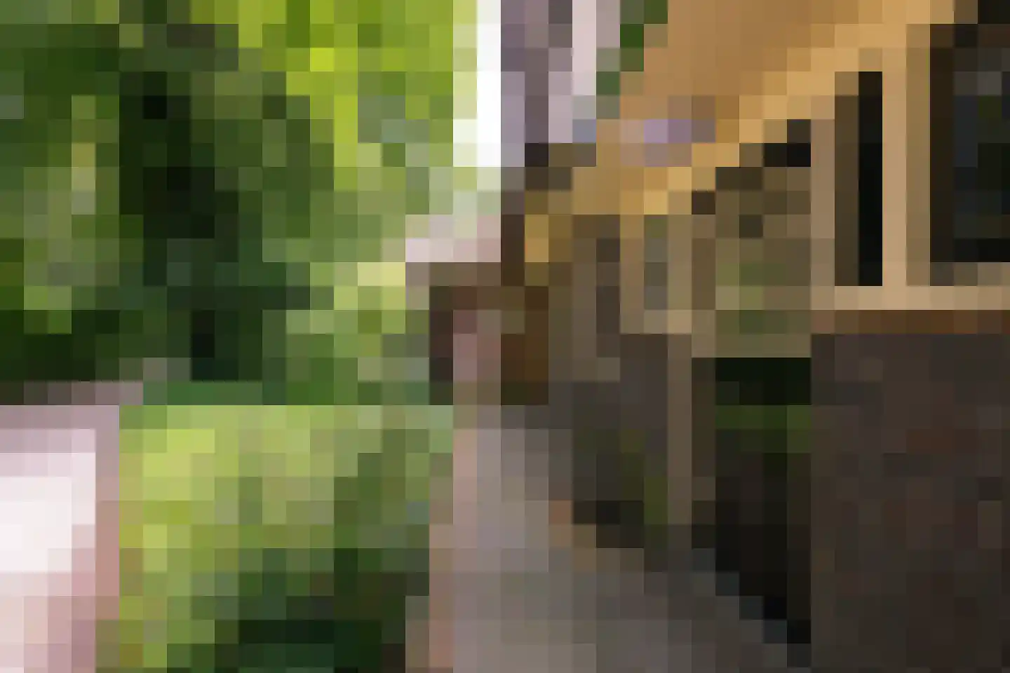 Oranjelaan 79 Harderwijk thumbnail 50