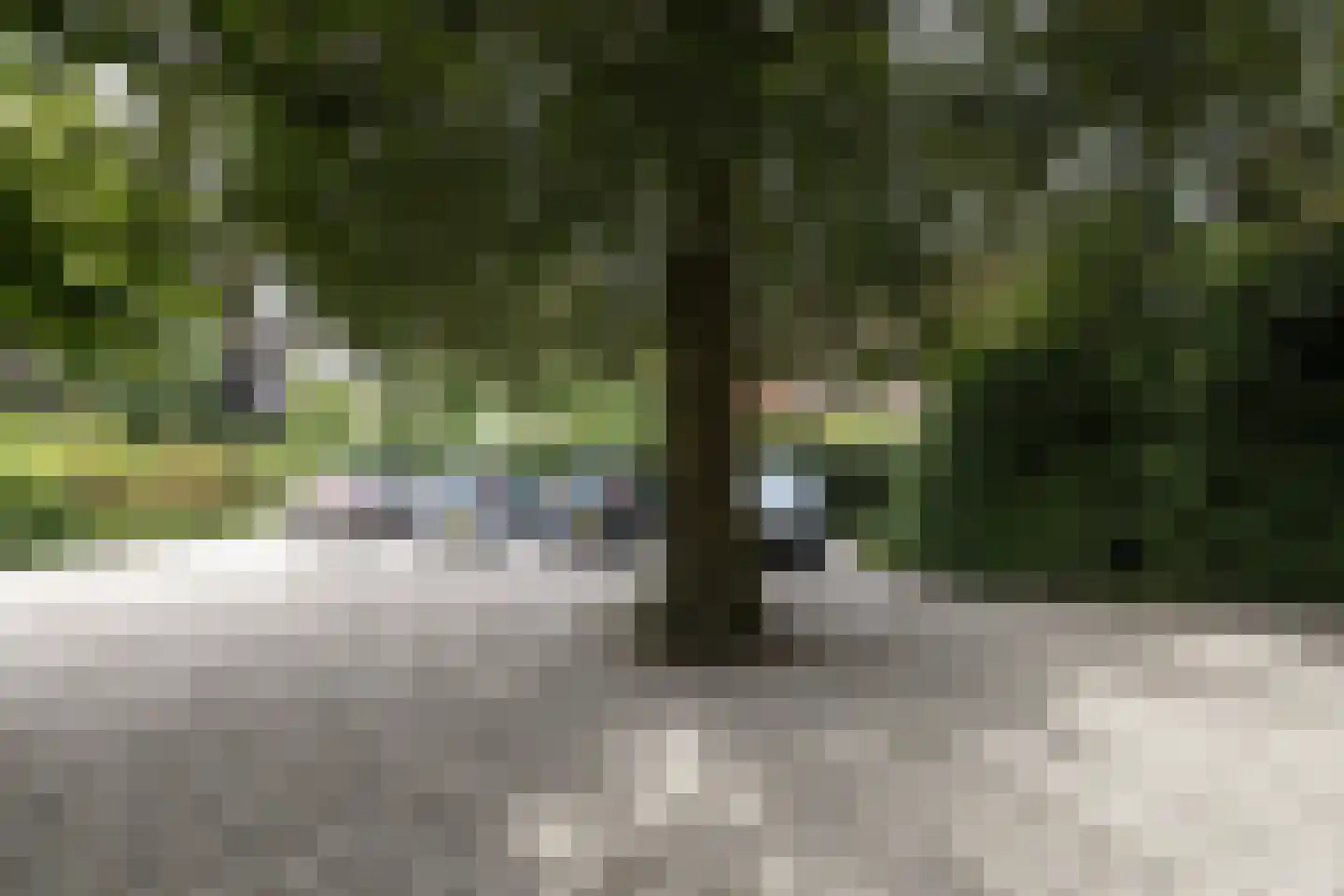 Oranjelaan 79 Harderwijk thumbnail 51