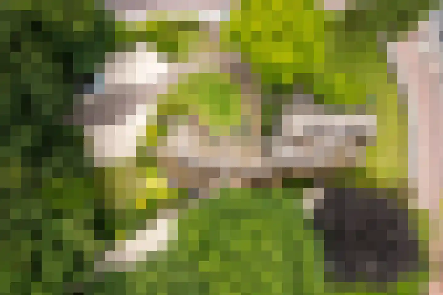 Oranjelaan 79 Harderwijk thumbnail 52