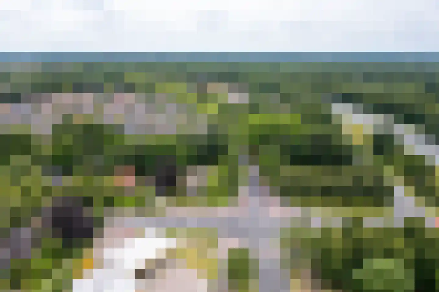Oranjelaan 79 Harderwijk thumbnail 54
