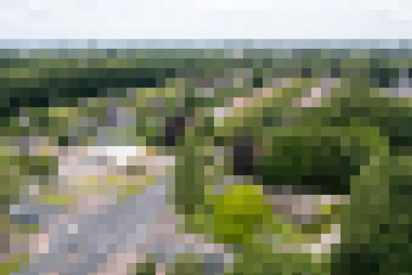 Oranjelaan 79 Harderwijk thumbnail 56