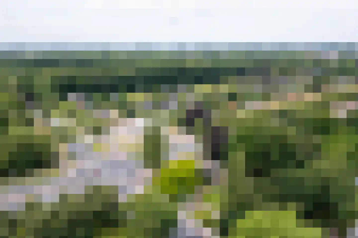 Oranjelaan 79 Harderwijk thumbnail 57