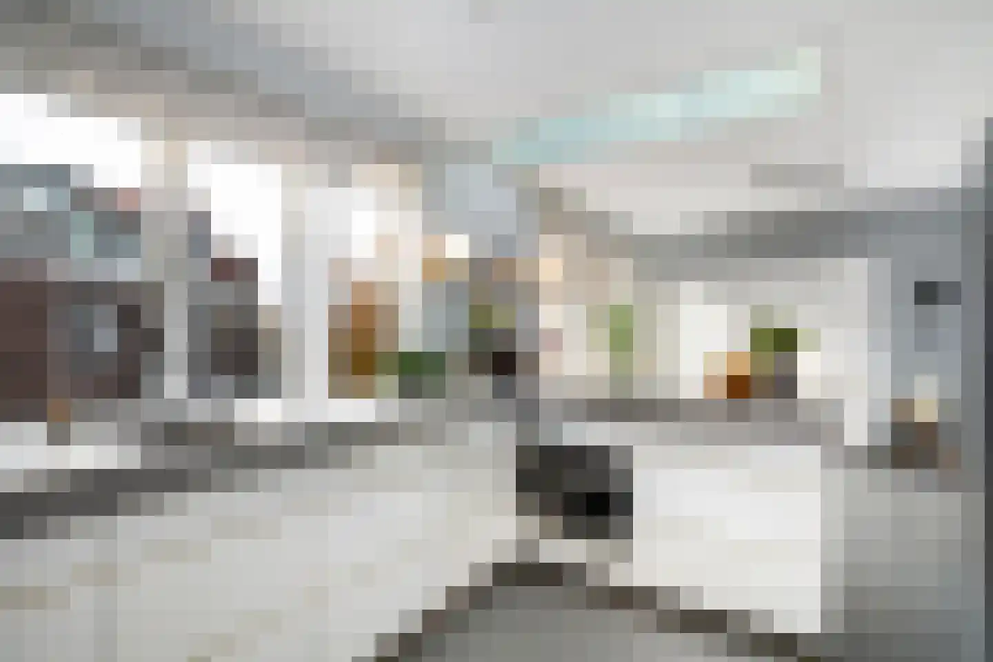 Oranjelaan 8 B Rotterdam thumbnail 13