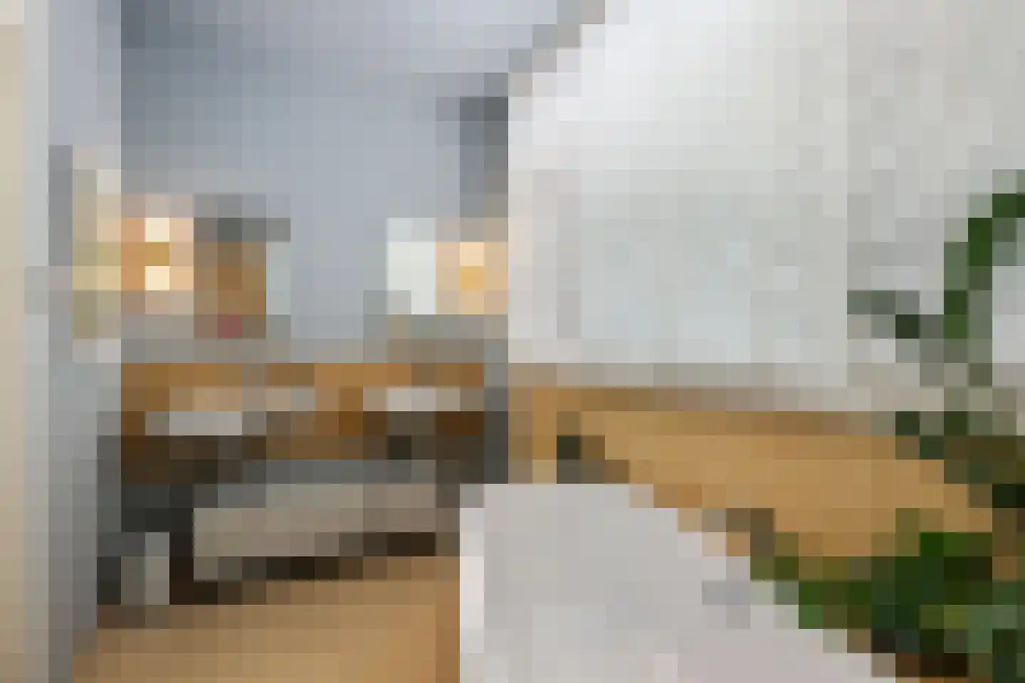 Oranjelaan 8 B Rotterdam thumbnail 23