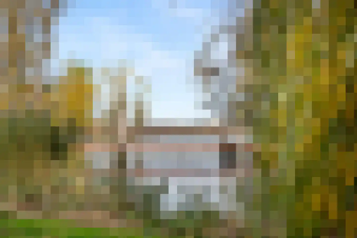 Oranjelaan 8 B Rotterdam thumbnail 33