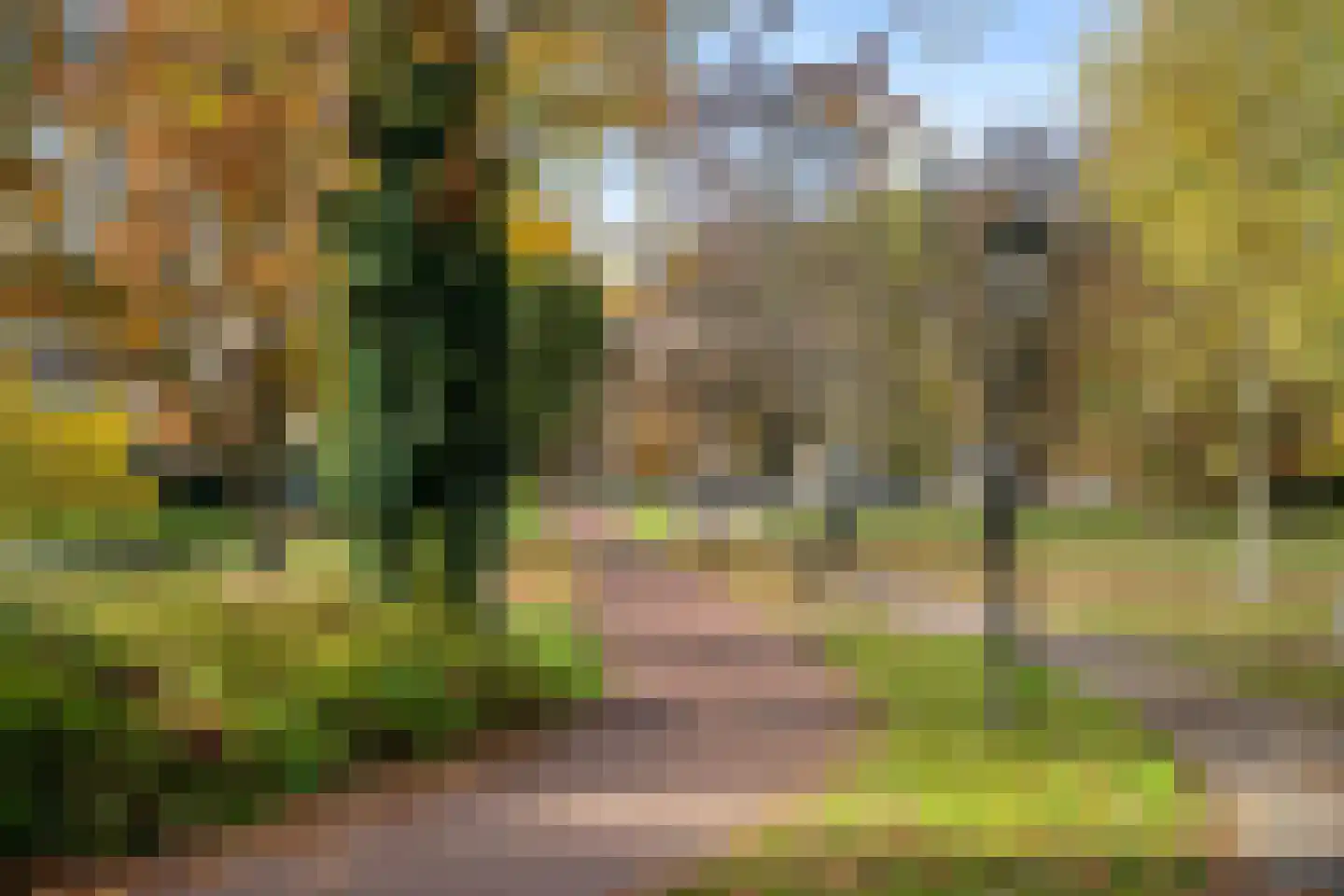 Oranjelaan 8 B Rotterdam thumbnail 34