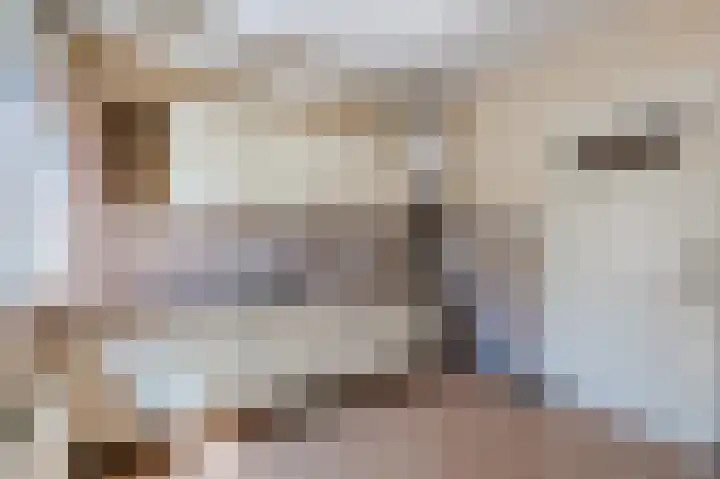Oranjelaan 8 Bodegraven thumbnail 23
