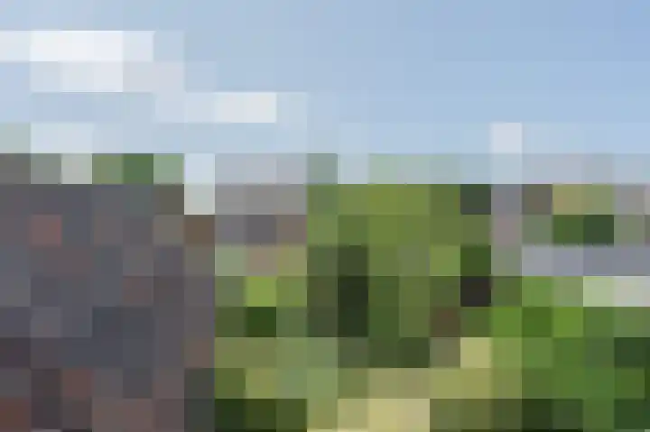 Oranjelaan 8 Bodegraven thumbnail 30