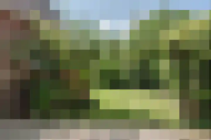 Oranjelaan 8 Bodegraven thumbnail 40