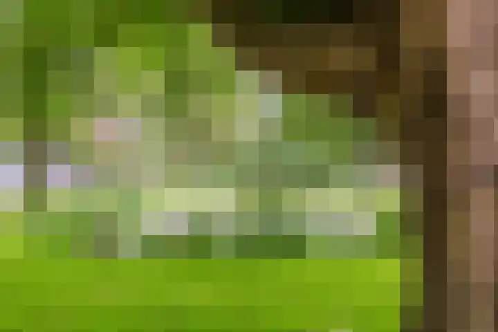 Oranjelaan 8 Bodegraven thumbnail 46