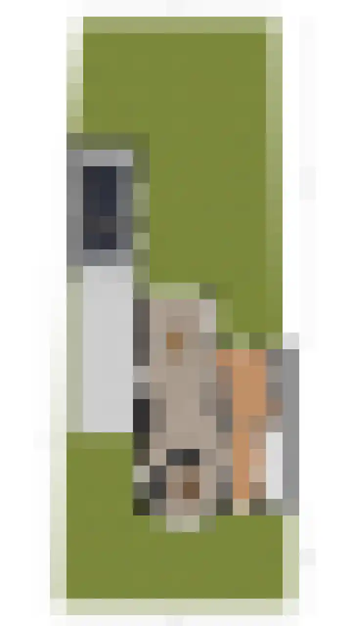 Oranjelaan 8 Bodegraven thumbnail 52