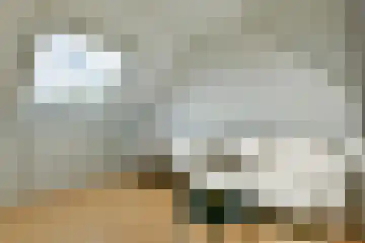 Oranjelaan 8 Uithoorn thumbnail 21