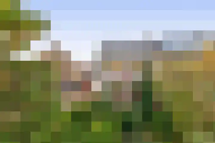 Oranjelaan 81 in Lisse