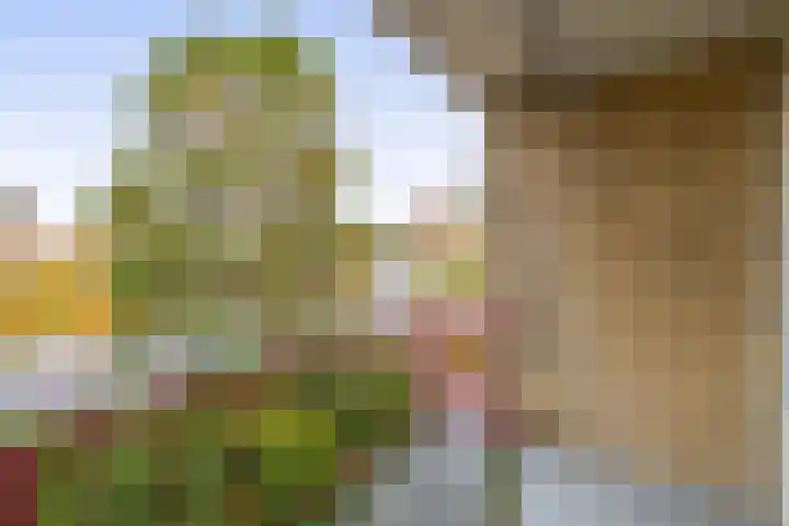 Oranjelaan 81 Lisse thumbnail 17