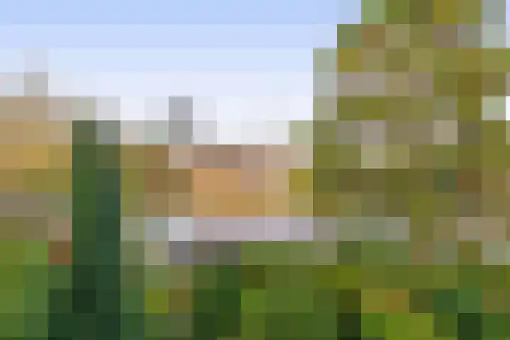 Oranjelaan 81 Lisse thumbnail 19