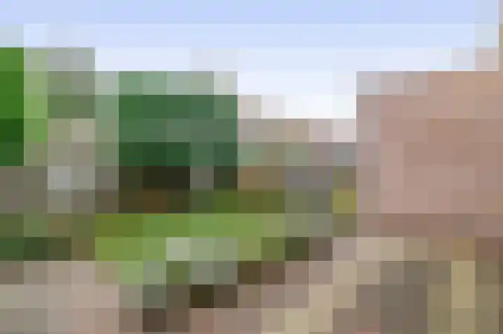 Oranjelaan 81 Lisse thumbnail 29