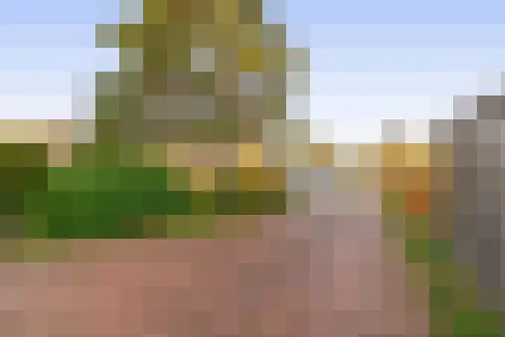 Oranjelaan 81 Lisse thumbnail 34