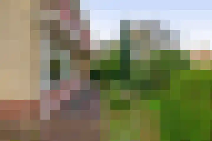 Oranjelaan 81 Lisse thumbnail 35