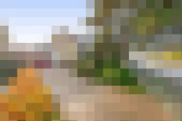 Oranjelaan 81 Lisse thumbnail 37
