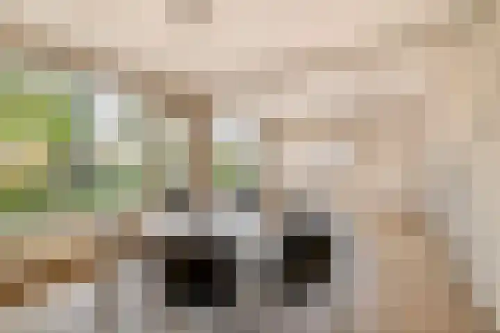 Oranjelaan 81 Lisse thumbnail 7