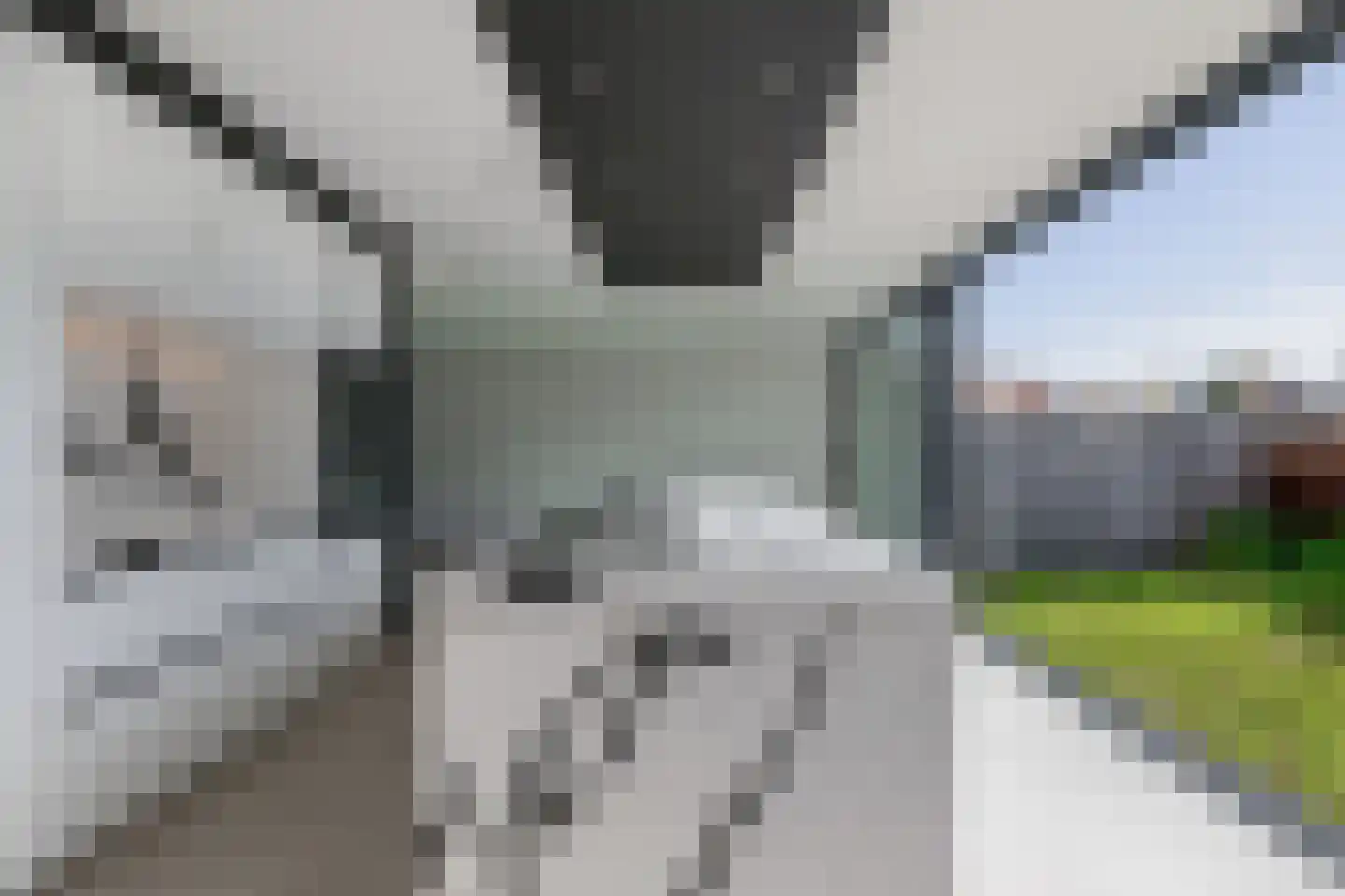 Oranjelaan 83 Lisse thumbnail 21