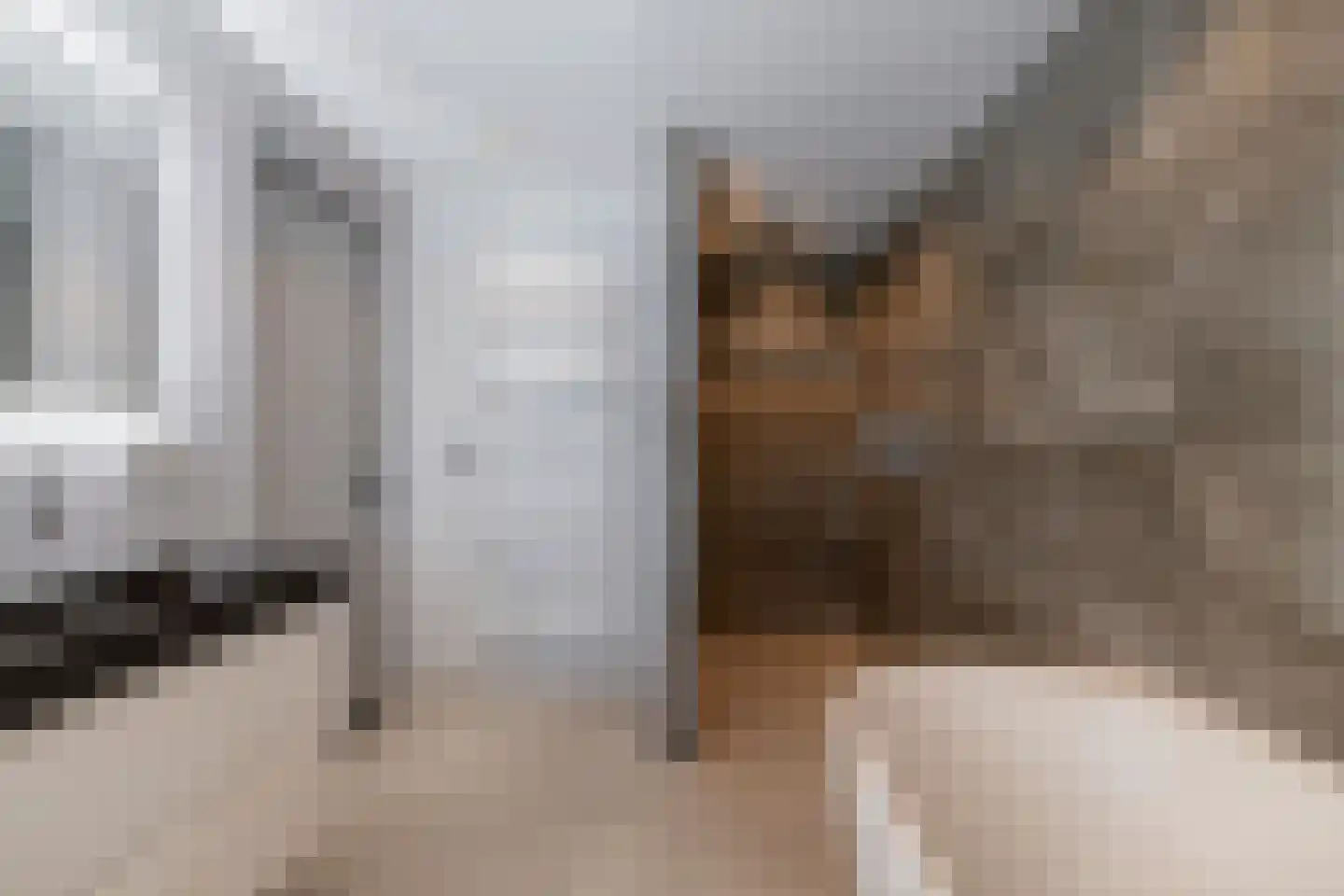 Oranjelaan 83 Lisse thumbnail 4