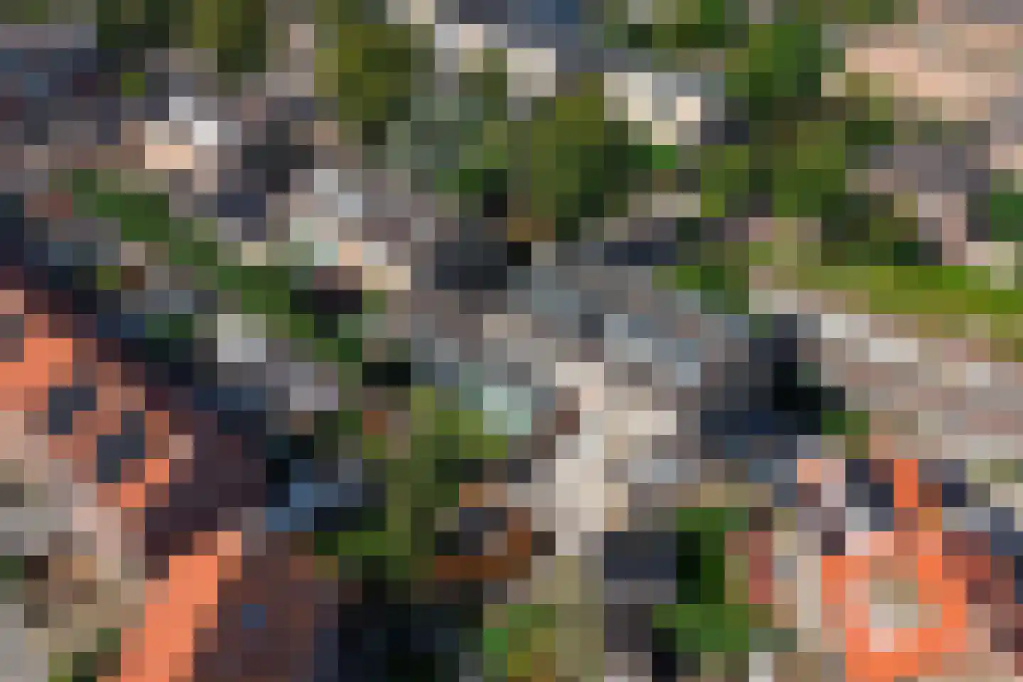 Oranjelaan 83 Lisse thumbnail 59