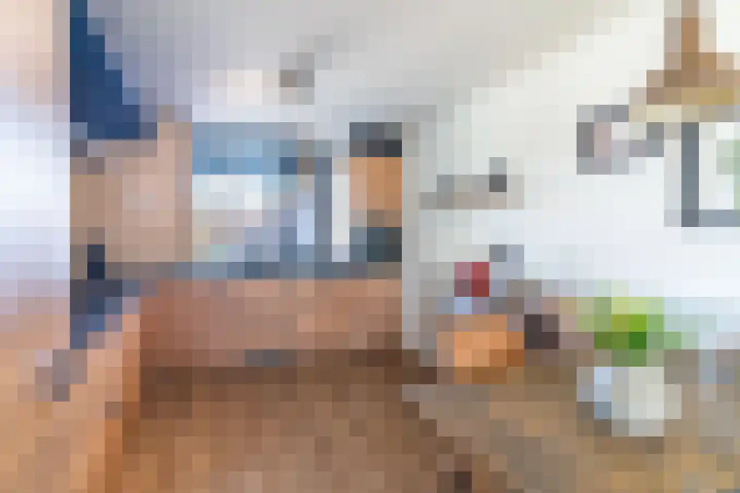 Oranjelaan 85 Nunspeet thumbnail 13