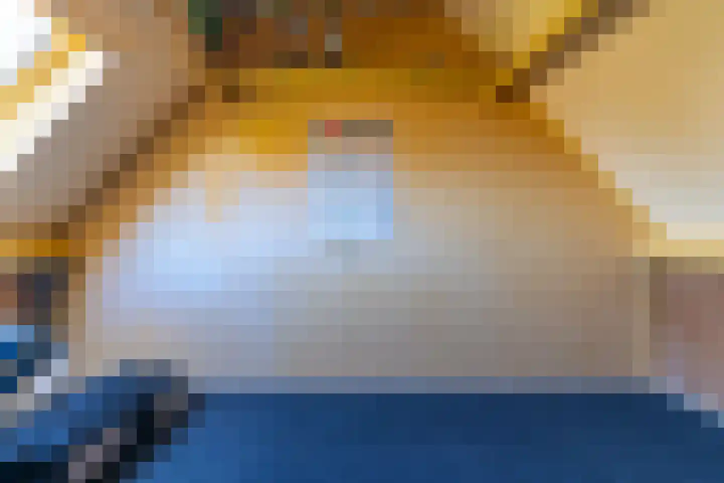 Oranjelaan 85 Nunspeet thumbnail 24