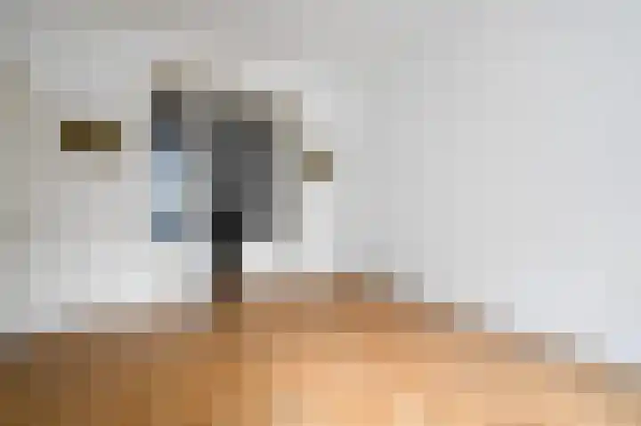 Oranjelaan 85 Rijswijk thumbnail 10