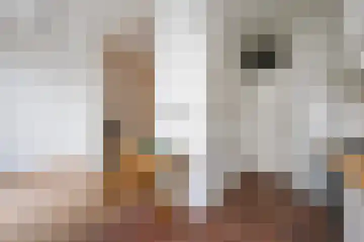 Oranjelaan 85 Rijswijk thumbnail 16