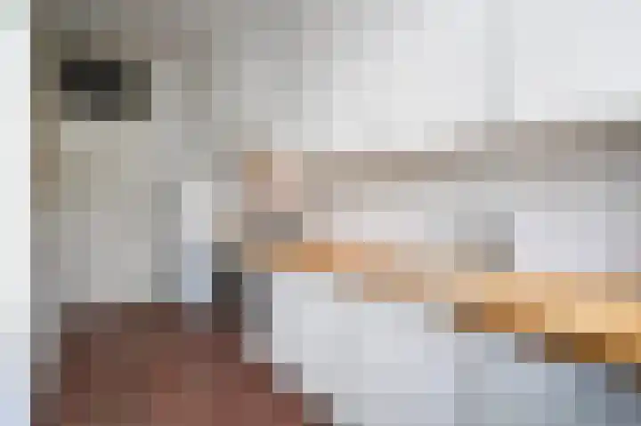 Oranjelaan 85 Rijswijk thumbnail 18