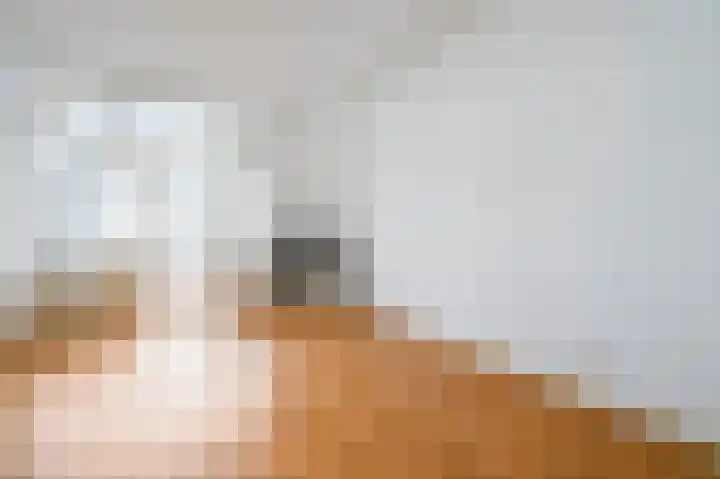 Oranjelaan 85 Rijswijk thumbnail 30