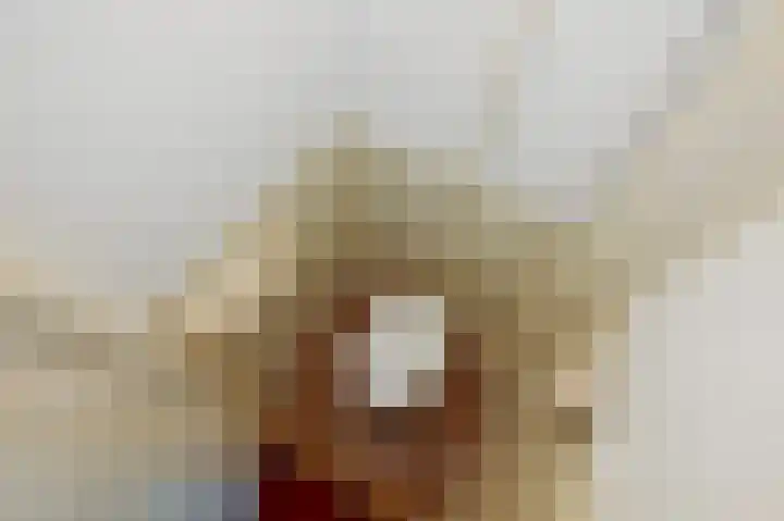 Oranjelaan 85 Rijswijk thumbnail 33