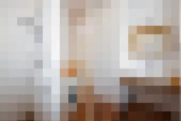 Oranjelaan 85 Rijswijk thumbnail 36