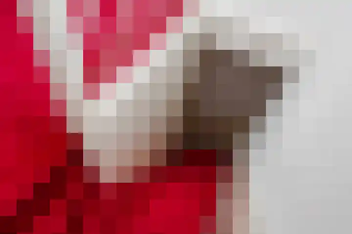 Oranjelaan 85 Rijswijk thumbnail 37