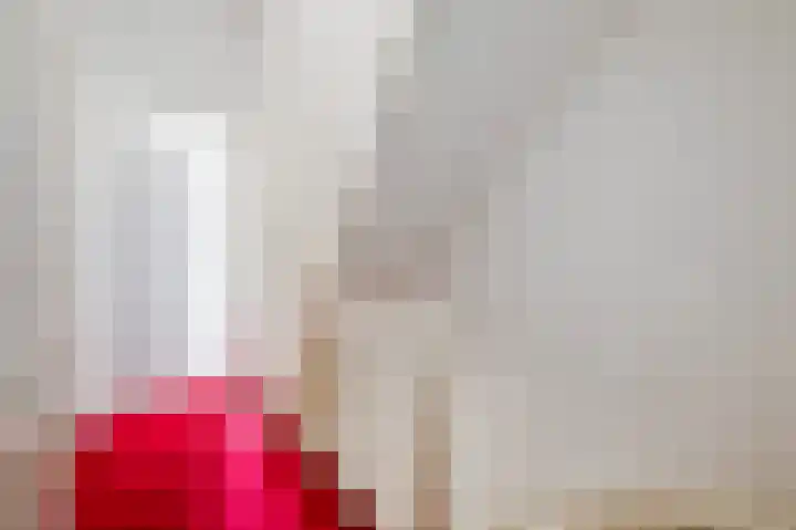 Oranjelaan 85 Rijswijk thumbnail 38