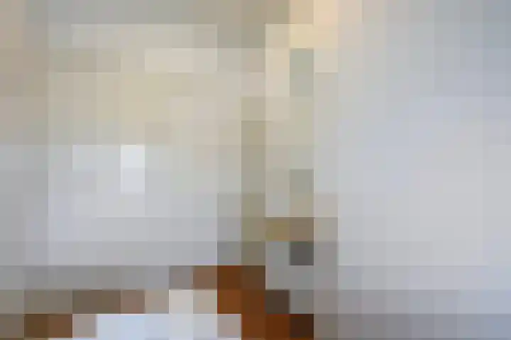 Oranjelaan 85 Rijswijk thumbnail 49