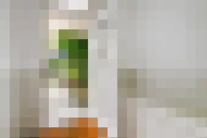 Oranjelaan 85 Rijswijk thumbnail 5